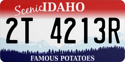 ID license plate 2T4213R