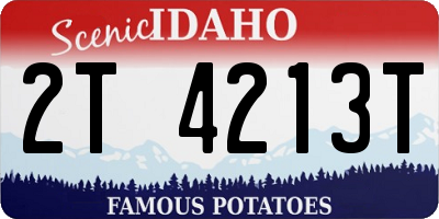 ID license plate 2T4213T