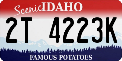 ID license plate 2T4223K