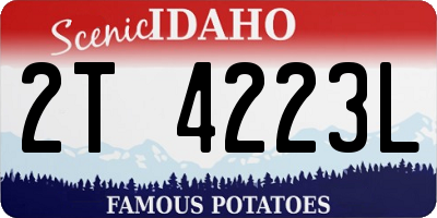 ID license plate 2T4223L