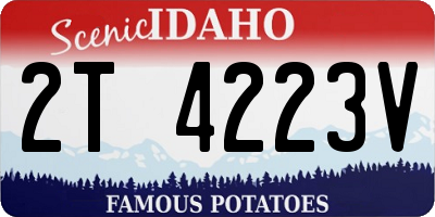 ID license plate 2T4223V
