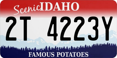 ID license plate 2T4223Y