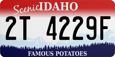 ID license plate 2T4229F