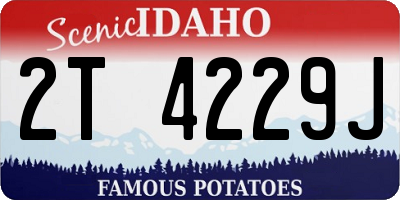 ID license plate 2T4229J