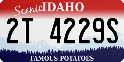 ID license plate 2T4229S