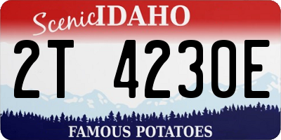 ID license plate 2T4230E