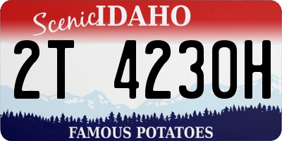 ID license plate 2T4230H