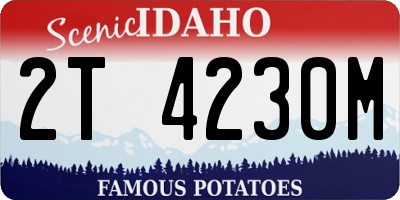 ID license plate 2T4230M