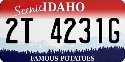 ID license plate 2T4231G