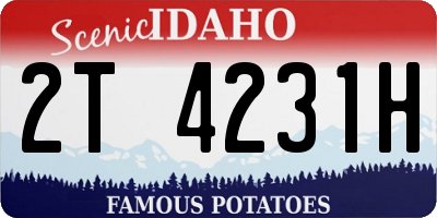 ID license plate 2T4231H