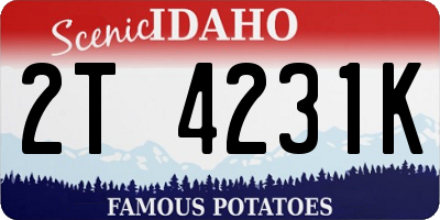 ID license plate 2T4231K
