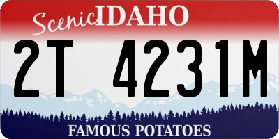 ID license plate 2T4231M
