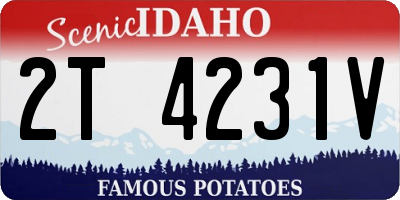 ID license plate 2T4231V