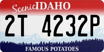 ID license plate 2T4232P