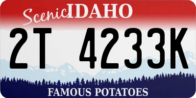 ID license plate 2T4233K