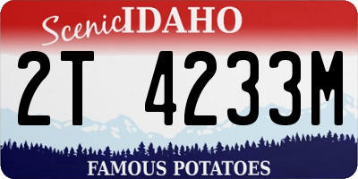 ID license plate 2T4233M