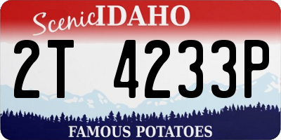 ID license plate 2T4233P