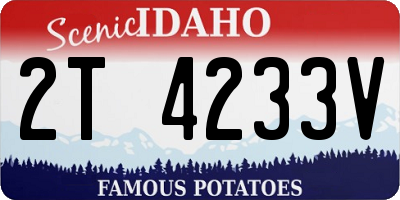 ID license plate 2T4233V
