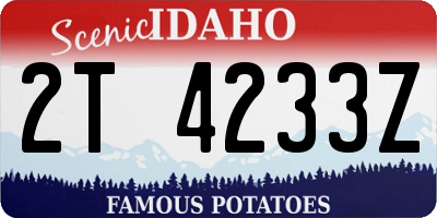 ID license plate 2T4233Z