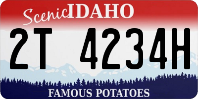 ID license plate 2T4234H