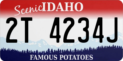 ID license plate 2T4234J