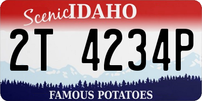 ID license plate 2T4234P