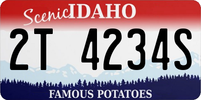 ID license plate 2T4234S