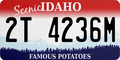 ID license plate 2T4236M