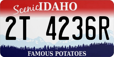 ID license plate 2T4236R