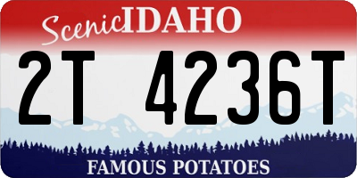 ID license plate 2T4236T