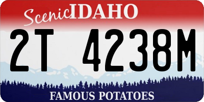 ID license plate 2T4238M