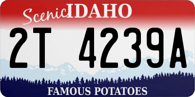 ID license plate 2T4239A