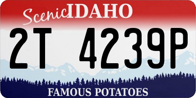 ID license plate 2T4239P