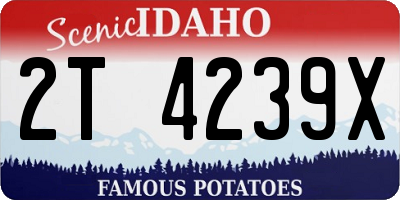 ID license plate 2T4239X
