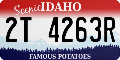 ID license plate 2T4263R