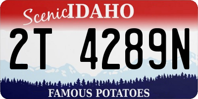 ID license plate 2T4289N