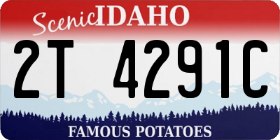 ID license plate 2T4291C
