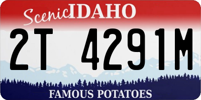ID license plate 2T4291M