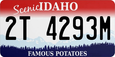 ID license plate 2T4293M