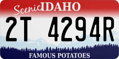 ID license plate 2T4294R