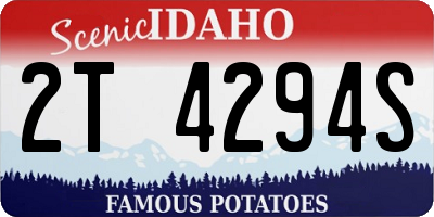 ID license plate 2T4294S
