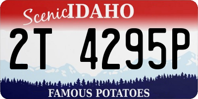 ID license plate 2T4295P