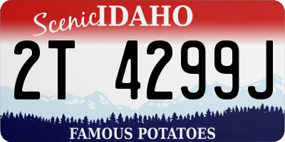 ID license plate 2T4299J