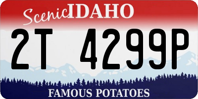 ID license plate 2T4299P