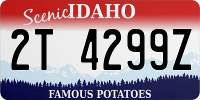 ID license plate 2T4299Z