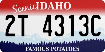 ID license plate 2T4313C