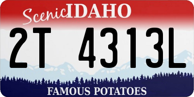 ID license plate 2T4313L