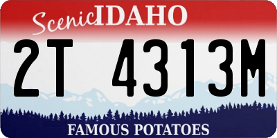 ID license plate 2T4313M