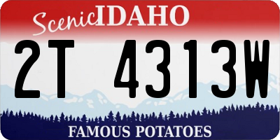 ID license plate 2T4313W