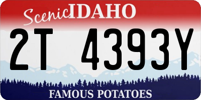 ID license plate 2T4393Y